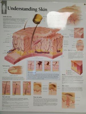 UF Health Dermatology