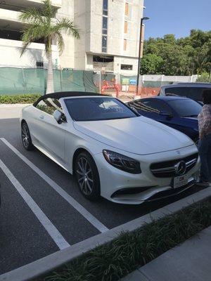 Palm Beach Auto Group