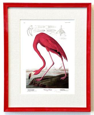 Audubon "Museum Edition" flamingo E/P 1/10. Octavo size. Conservation framing includes reflection-control museum glass.