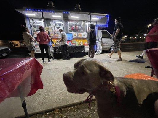 They're super dog friendly! My pup really enjoys going there!