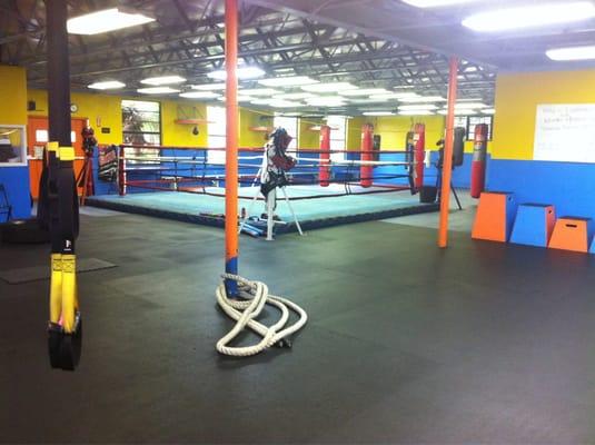 Tropical park boxing and fitness