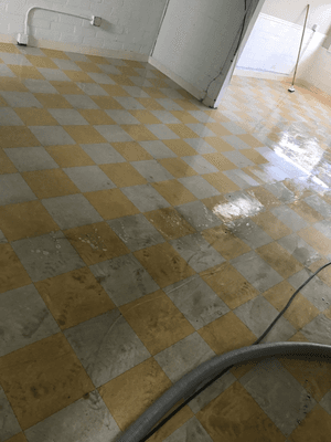 Linoleum cleaning!