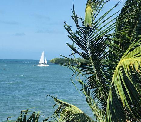 Sailing in Belize