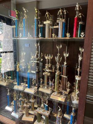 Swimming trophies