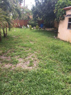 Larger Dogs @camp enjoying fenced in play-yard