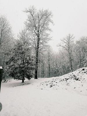 First snow in the city of Woodstock 12/9/2017