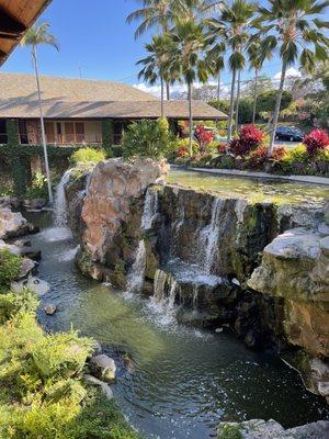 Wonderful view at breakfast in Wailea