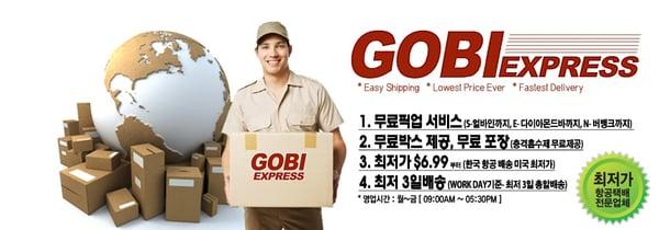 Gobi Express