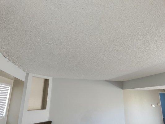 Living room ceiling