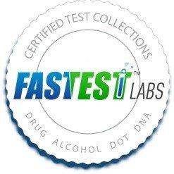 Fast, Clean, Friendly!
Fastest Labs Westwood
(201) 500-2733