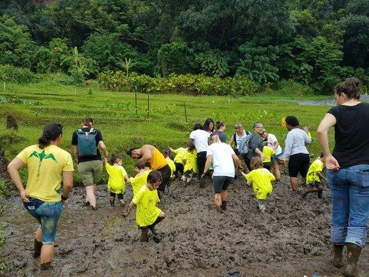 Our field trip to Papahana Kuaola