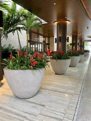 Highly polished cast stone planters. Designed and purposed to fill the empty space with a modern design and vibrant color flowers.