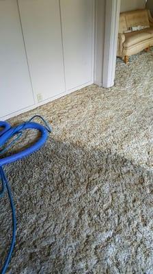 dirty carpet cleaned up well.