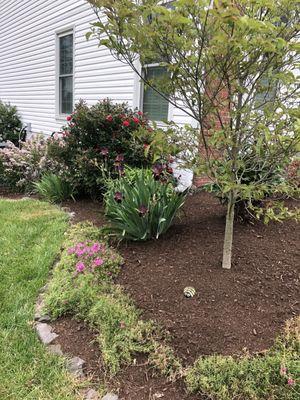 Mulch in side part of house