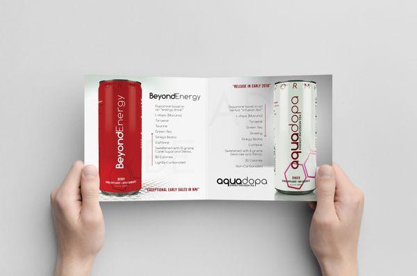 BeyondEnergy Booklet