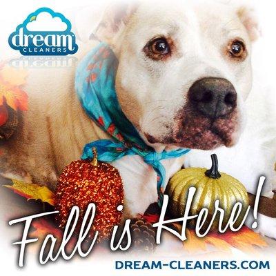 This is a quality business with nothing but passion for all animals and making your home sparkle!