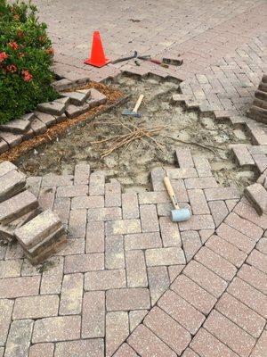 Paver Repair