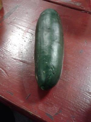 Fresh,juicy healthy cucumber Mmmm Mmmm good :-)