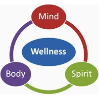 The Secret to Wellness is a whole body approach!