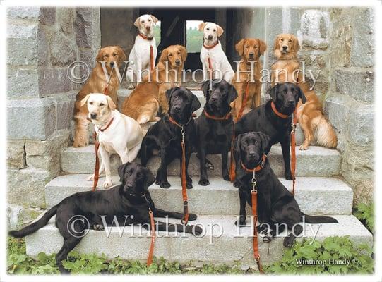 We photograph large groups and we are proud supporters of NEADS service dogs for deaf and disabled Americans.