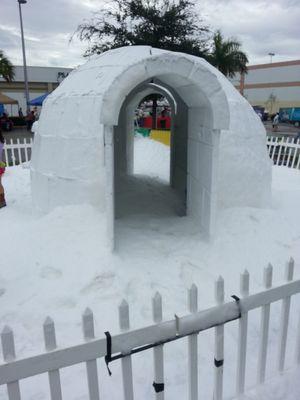 Igloo in Florida?