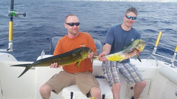 2 dolphin (mahi mahi)