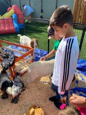 Kids enjoying all the goats and chickens at out Halloween Petting Zoo