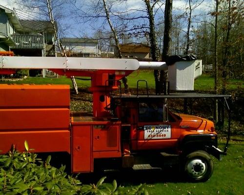 Economy Tree Service Nepa