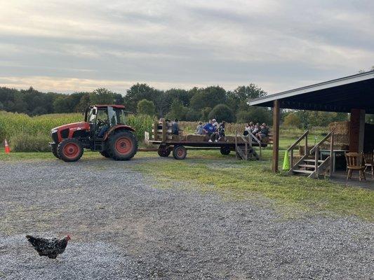 Wheatfield Pumpkin Farm