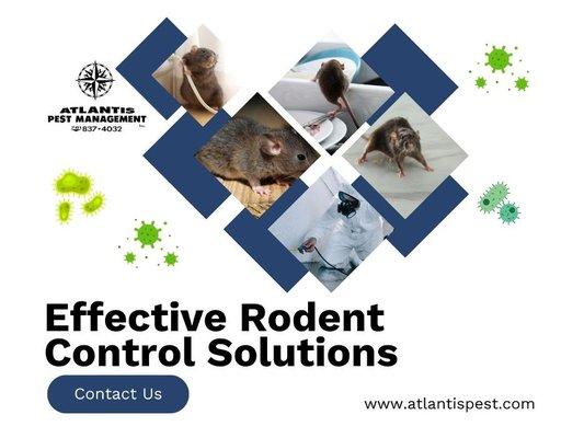 3_Atlantis Pst Mgmt Inc_Effective Rodent Control Solutions.jpg