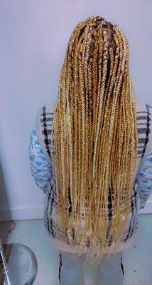 Single long box braid