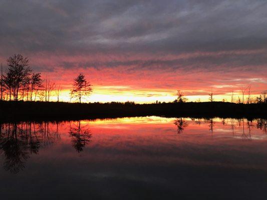 Seven Ponds Nature Center