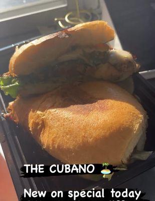 Cubano