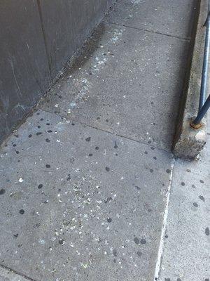 Bird feces all over the entrance of the dentist office, I wonder if they ever had a legionella outbreak.