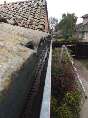 S&S Grass to Gutters