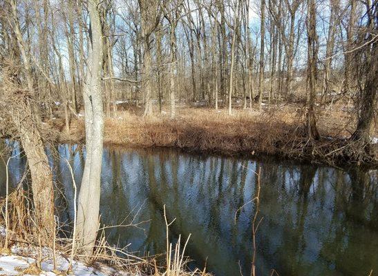 Whippany River behind Mini Mart