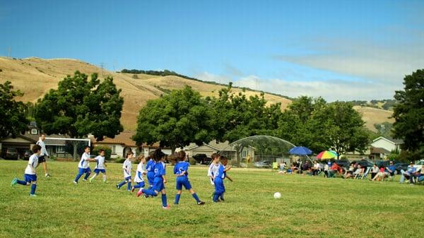 South San Jose Youth Soccer League