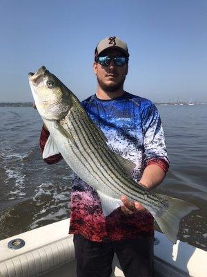 Raritan Bay Bass