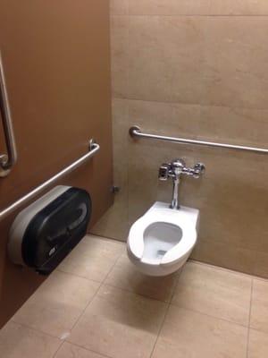 Toilet with crip rails