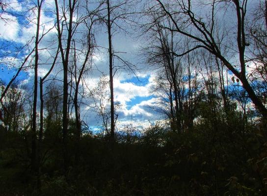 A beautiful little trail