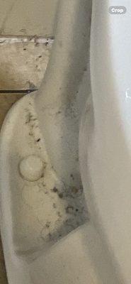 FYUCKING toilet has NEVER been cleaned it's nasty AF all kinds of germs, viruses and bacterial waiting for a host. ZOOM in ...