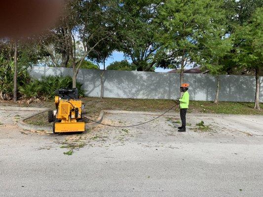 Stump grinding