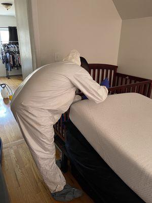 Bedbugs treatment