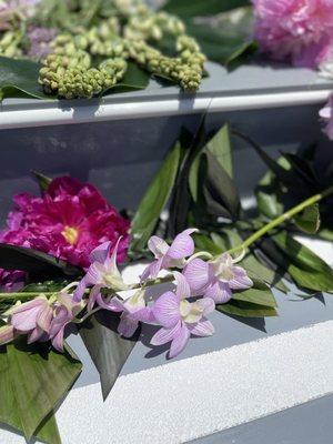 Twins Flower Growers