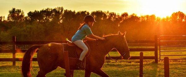 Horseback riding lessons for kids