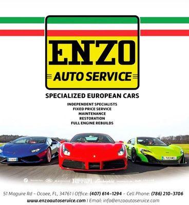 Enzo Auto Service. Specialized European Cars!