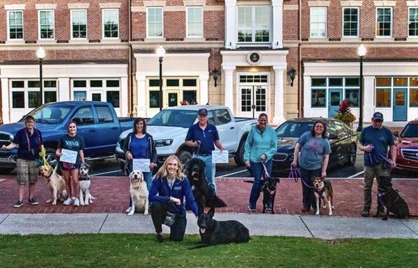 Advanced Obedience, Downtown Gainesville