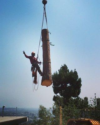 Removal with crane