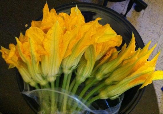 Zucchini flowers with stems!! $6 for a bunch of 20