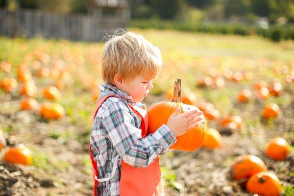 WCP field trip to the pumpkin patch.